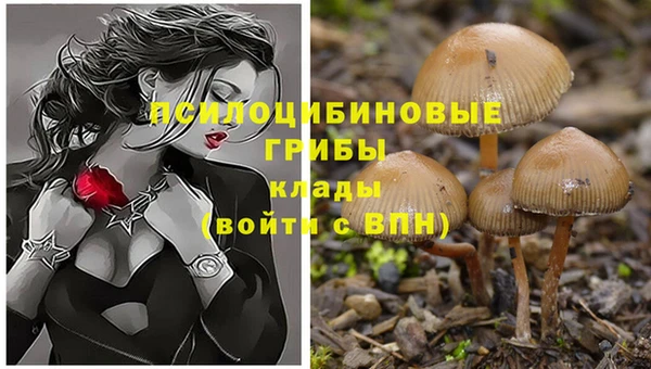 jwh Надым