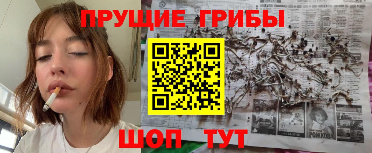 Псилоцибиновые грибы Cubensis  Сургут  Галлюциногенные грибы ЛСД 