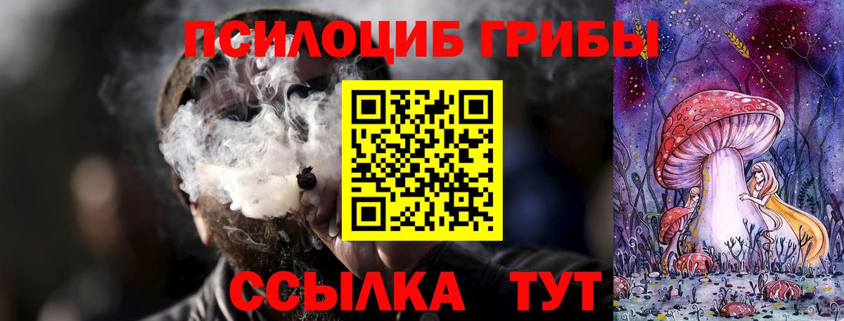 купить наркоту  Галлюциногенные грибы ЛСД  Вход с VPN  Сургут 